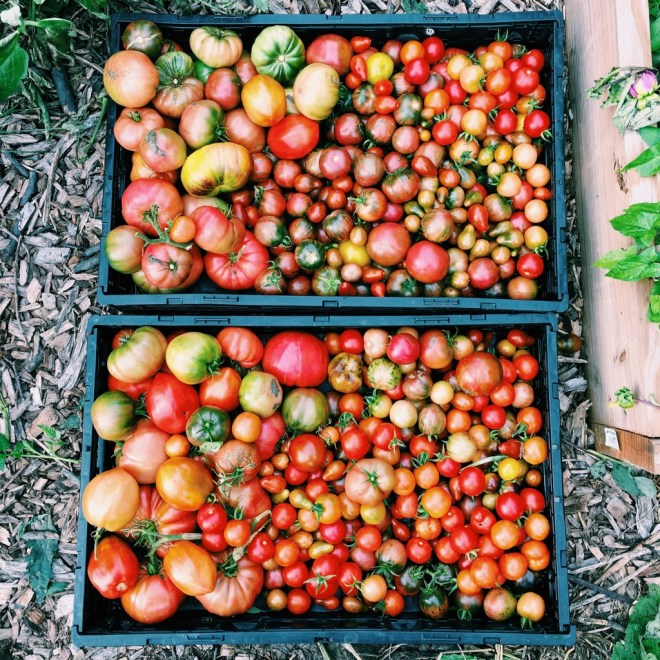 Processed with VSCO with c1 preset