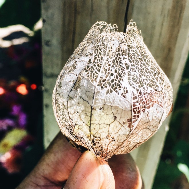 Processed with VSCO with a6 preset