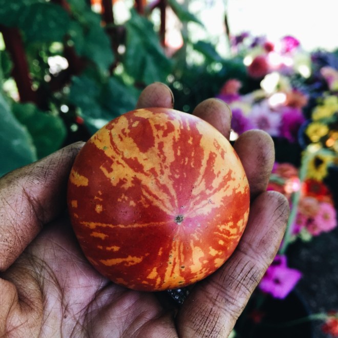 Processed with VSCO with a6 preset