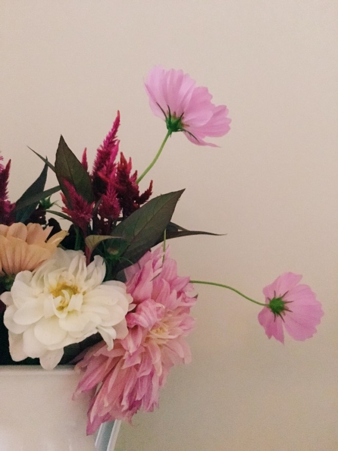 Processed with VSCO with c3 preset