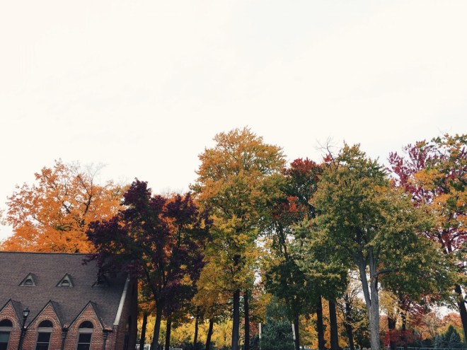 Processed with VSCO with c2 preset