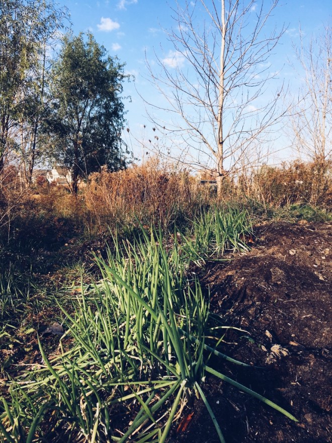 Processed with VSCO with a5 preset