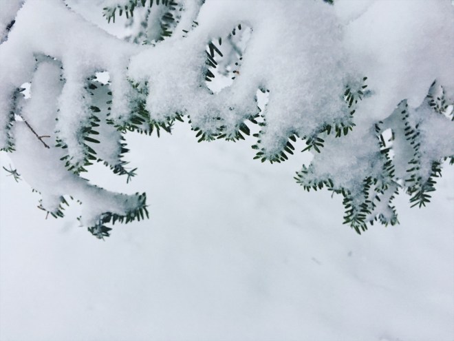 Processed with VSCO with c2 preset