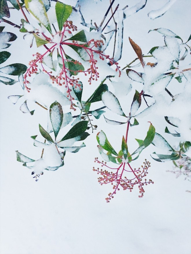 Processed with VSCO with c2 preset