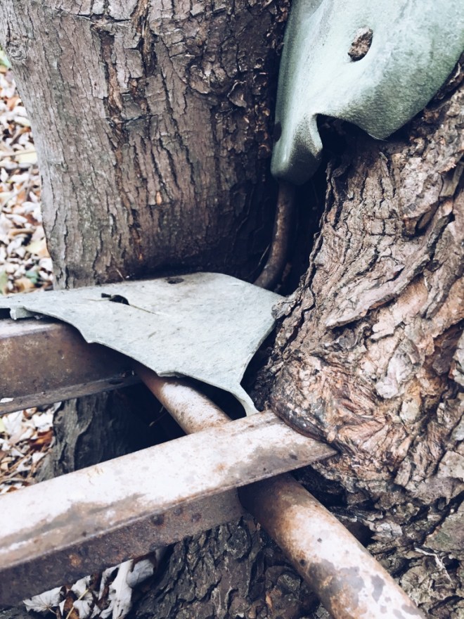 Processed with VSCO with a5 preset