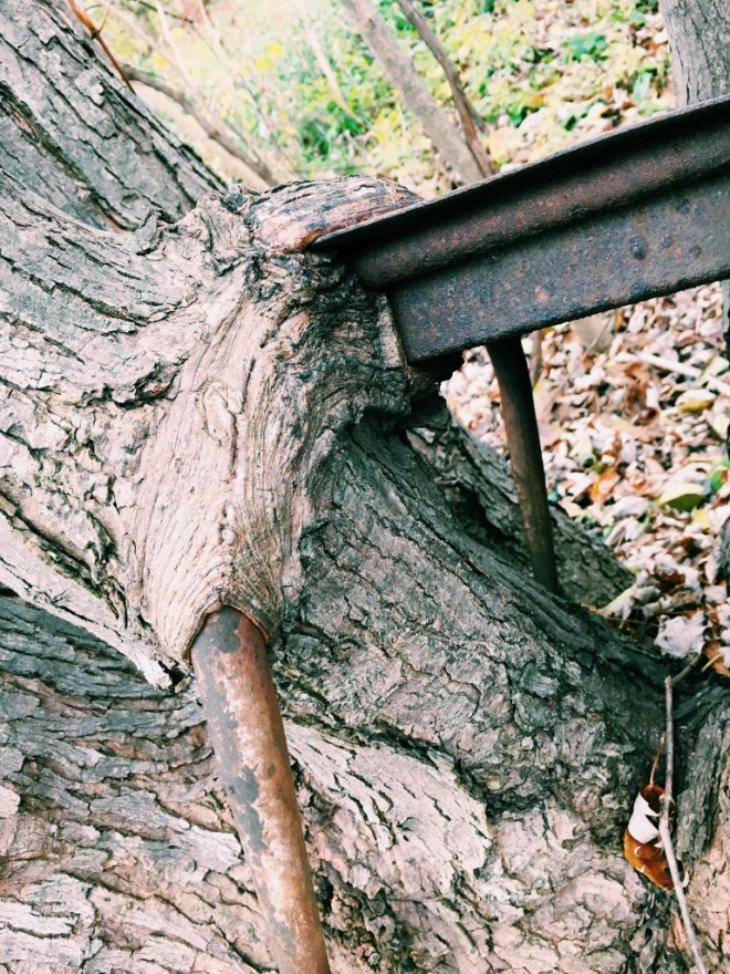 Processed with VSCO with c1 preset