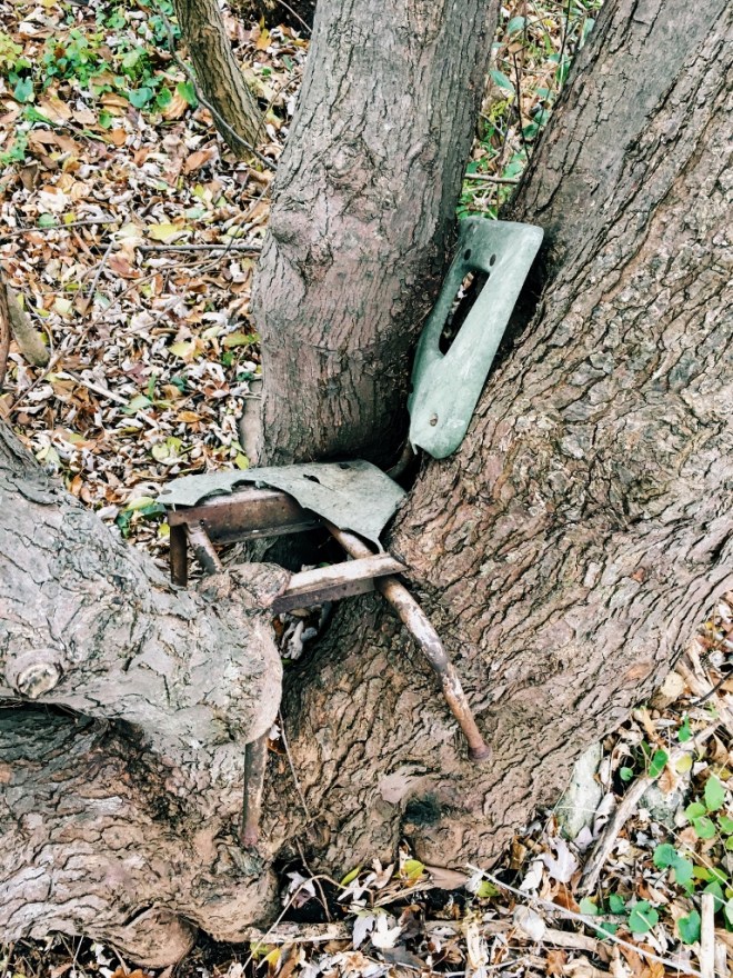 Processed with VSCO with c3 preset