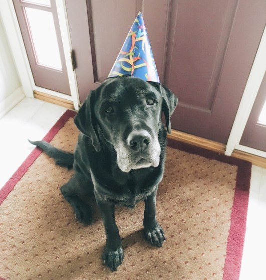 Processed with VSCO with a6 preset