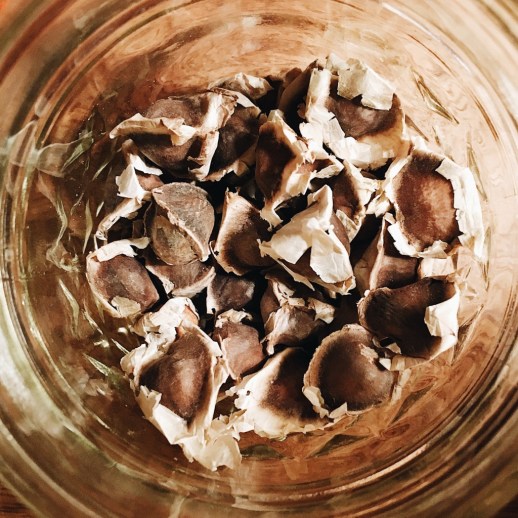 Processed with VSCO with a6 preset