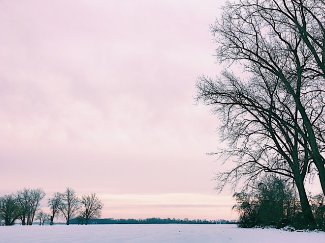 Processed with VSCO with c1 preset