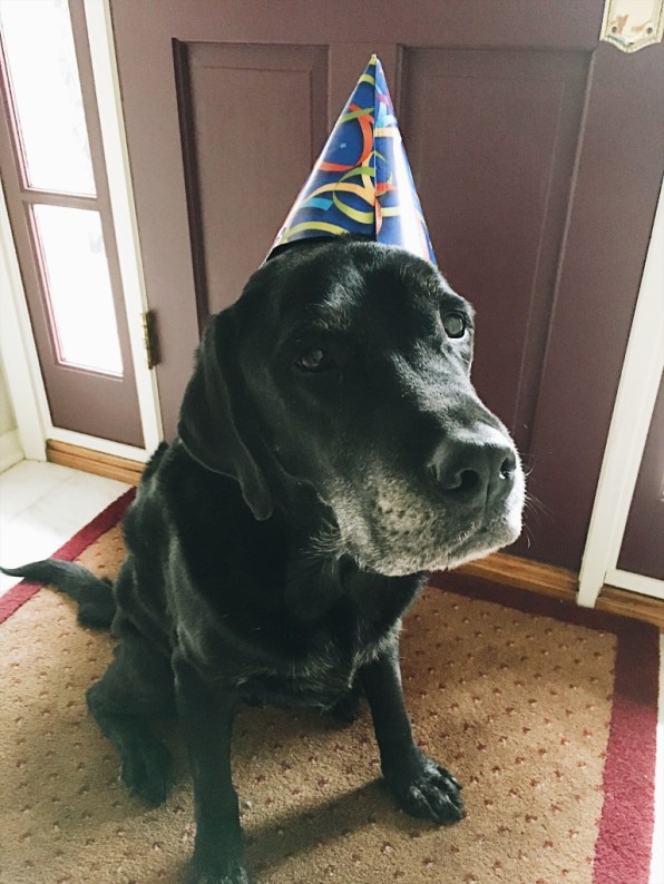 Processed with VSCO with a6 preset