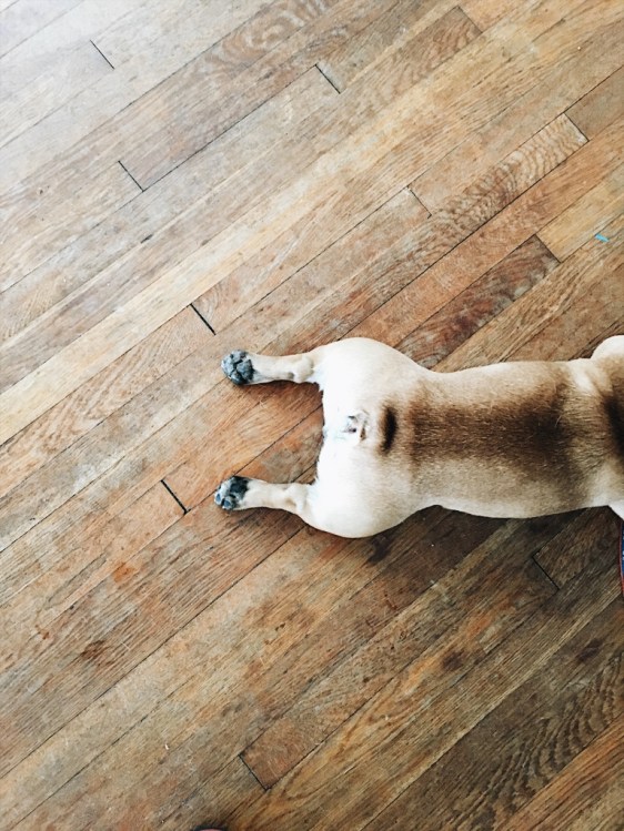 Processed with VSCO with a6 preset